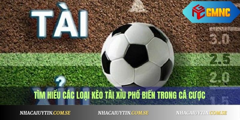 Tìm hiểu các loại kèo tài xỉu phổ biến trong cá cược