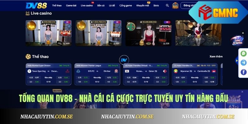 Tổng quan DV88 - nhà cái cá cược trực tuyến uy tín hàng đầu