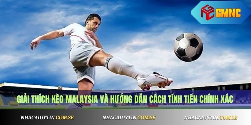 Giải thích kèo Malaysia và hướng dẫn cách tính tiền chính xác