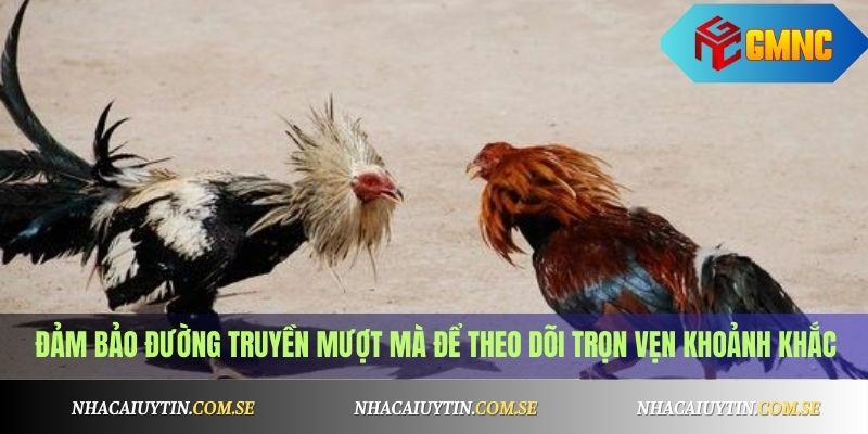 Đảm bảo đường truyền mượt mà để theo dõi trọn vẹn khoảnh khắc