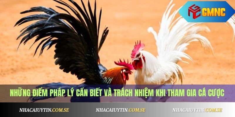 Những điểm pháp lý cần biết và trách nhiệm khi tham gia cá cược