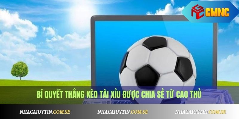 Bí quyết thắng kèo tài xỉu được chia sẻ từ cao thủ