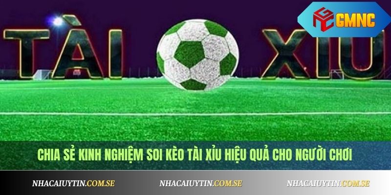 Chia sẻ kinh nghiệm soi kèo tài xỉu hiệu quả cho người chơi