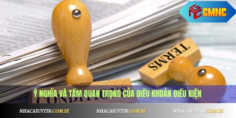 Ý nghĩa và tầm quan trọng của điều khoản điều kiện