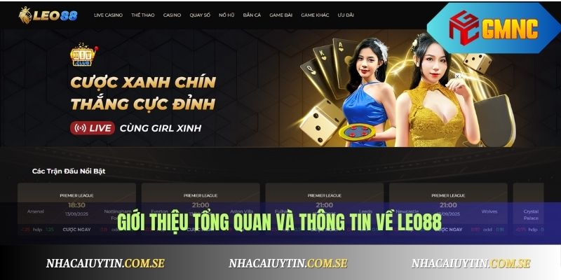 Giới thiệu tổng quan và thông tin về Leo88